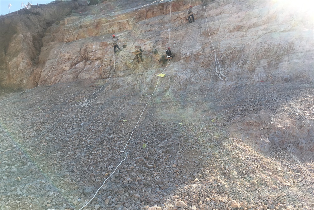 ŷ������ƽ̨