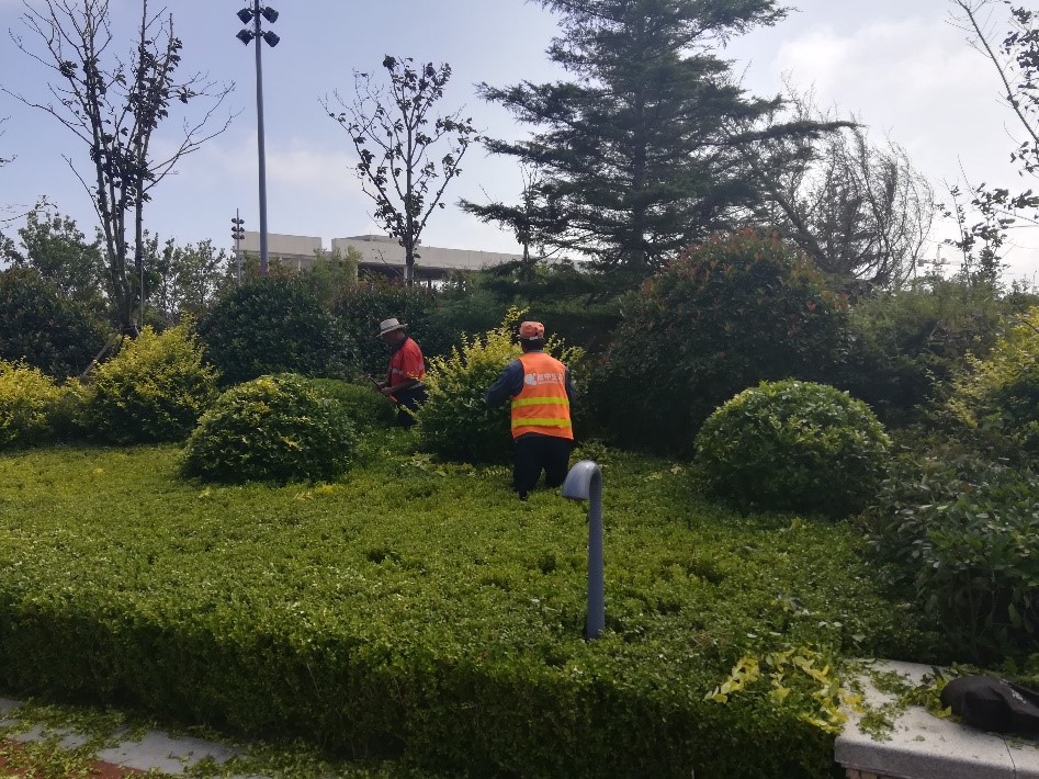 ��ɫ�����Ŀ�ٻ�ʡ��ϸ�廯������ģ����