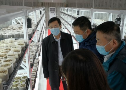 ŷ������ƽ̨