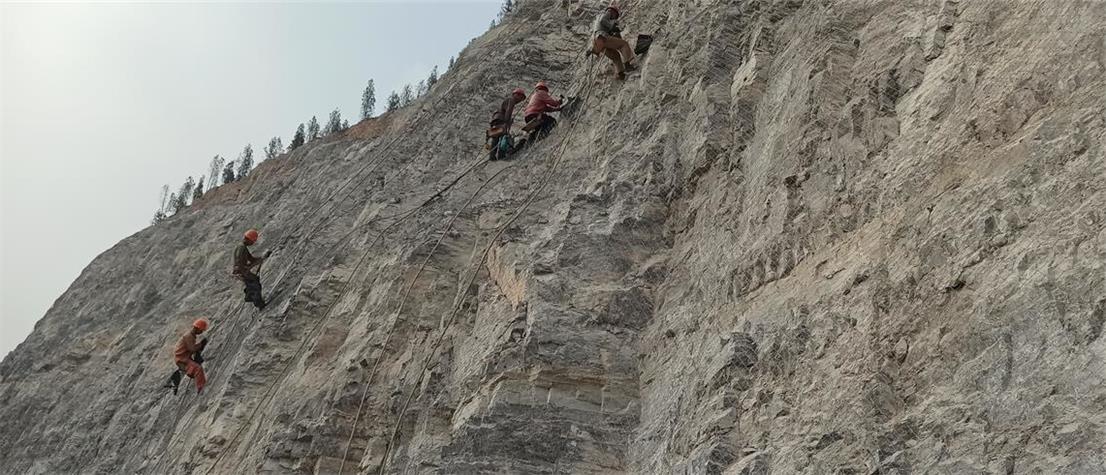 ��Ŀ����ʩ��