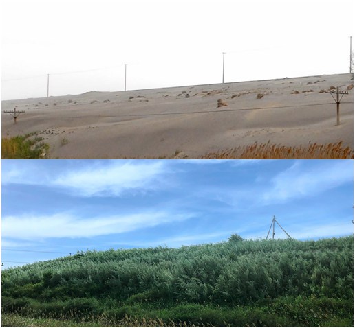 ��ͷ��������β������������Ρ������ԣ��޸�ǰ�����