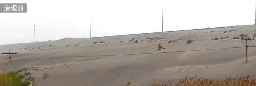 ÖÎÀíǰ ÖÎÀíǰ