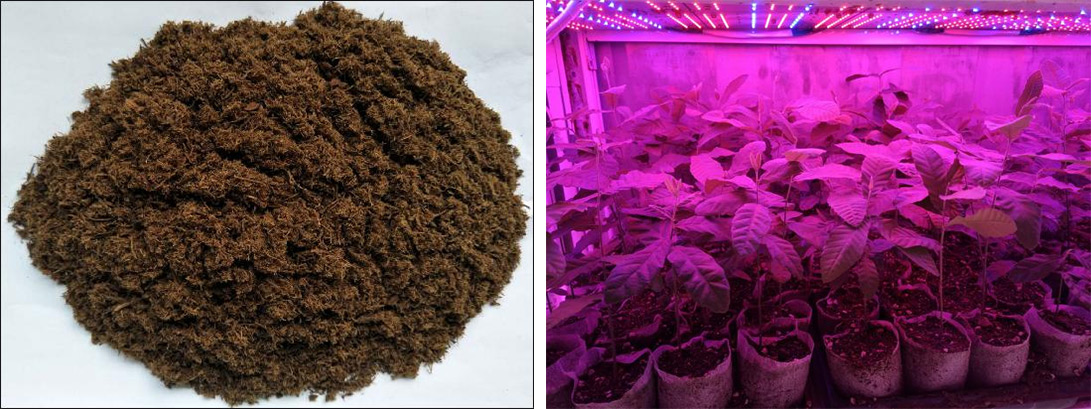 202401/202401220806568780.jpg 7.jpg