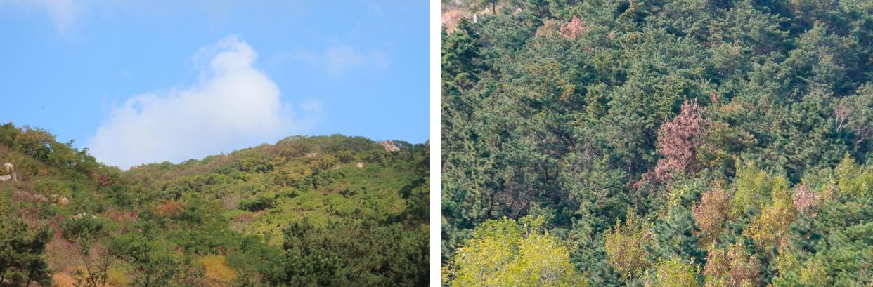 202401/202401220807117106.jpg 6.jpg